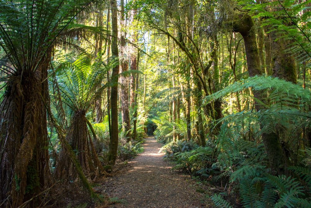 Great Otway National Park