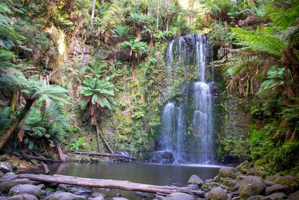 Great Otway National Park