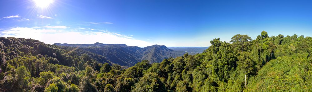 Dorrigo Panorama